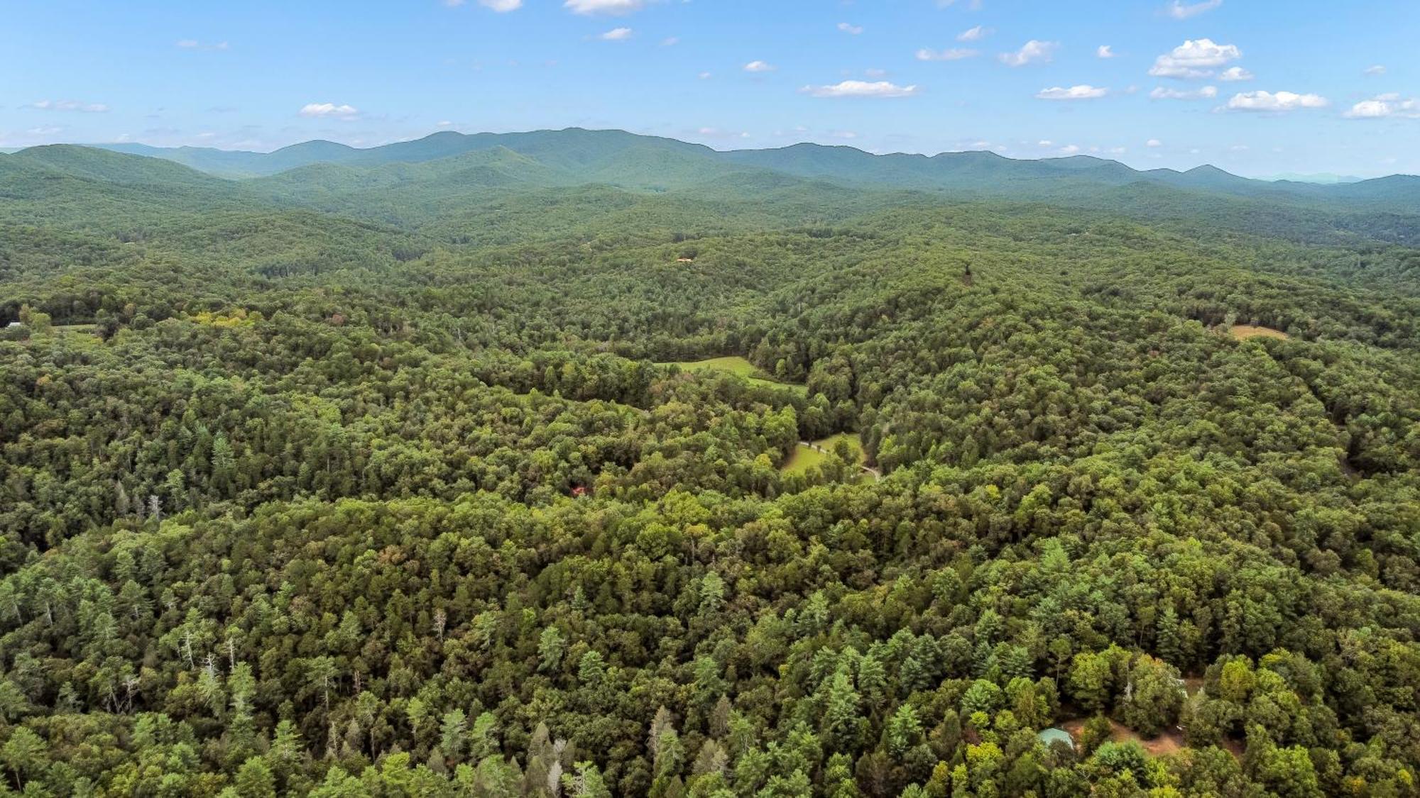 Amazing Creek View Cabin W/ Hot Tub, Firepit & Pool Table Ellijay Luaran gambar