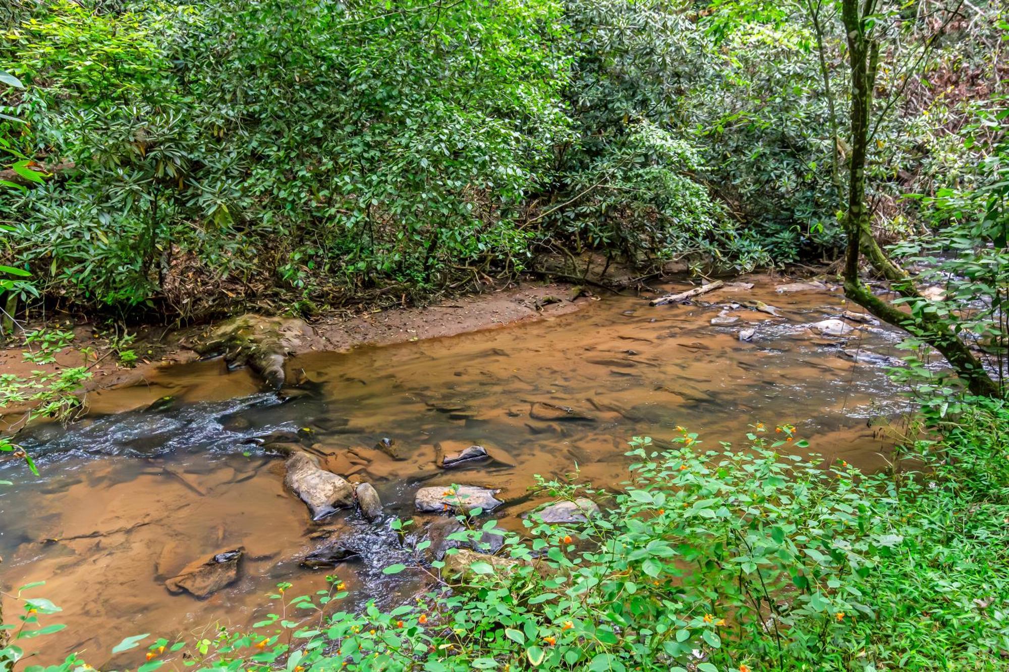 Amazing Creek View Cabin W/ Hot Tub, Firepit & Pool Table Ellijay Luaran gambar